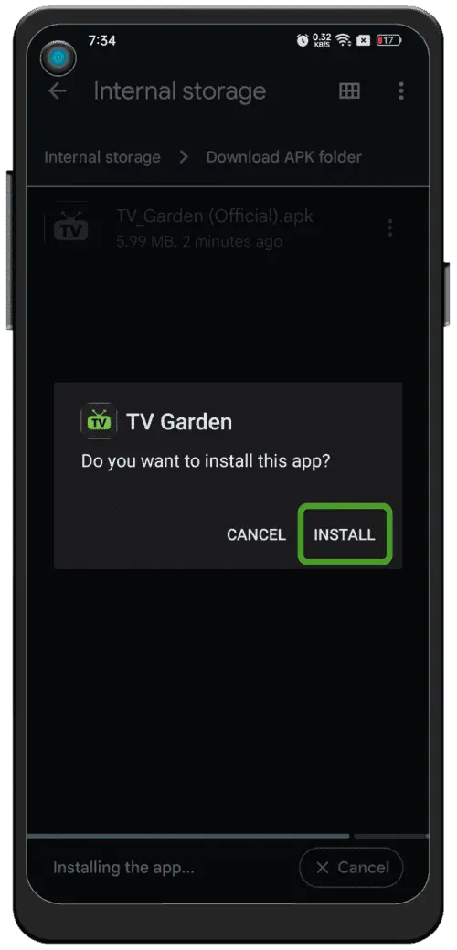 Install and open VidioNode